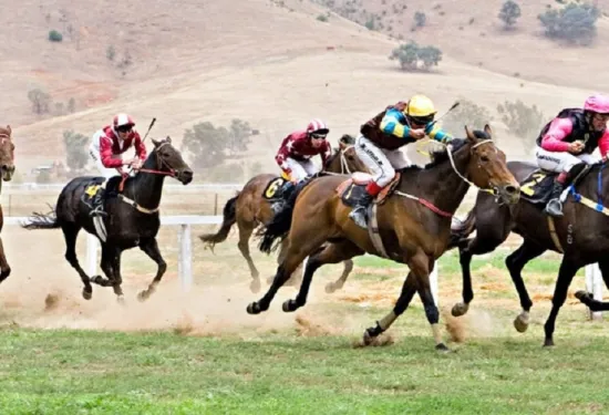 Horse racing betting odds